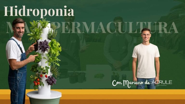 Curso de Hidroponía